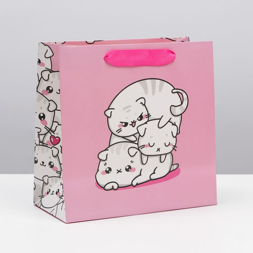 Пакет подарочный ламинированный квадратный, упаковка, «Котики», 22×22×11 см
