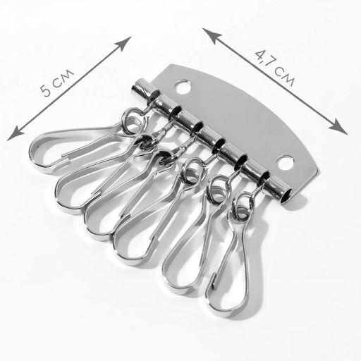 Цена за 4 шт. Карабины для ключницы, 6 шт., 47×50 мм, цвет серебряный