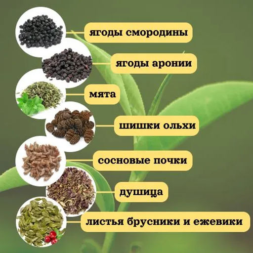 Камлёвъ Стабильности - чай Таежный, 50 г - Камлевъ фото 3