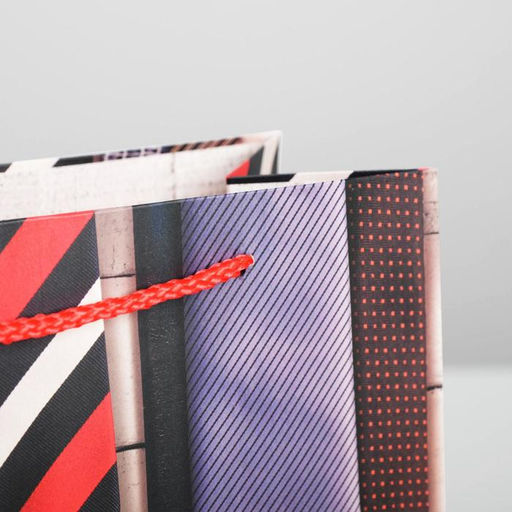 Цена за 2 шт. Пакет подарочный ламинированный, упаковка, С Праздником, ML 23?27?8 см