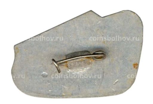 Значок Саратов