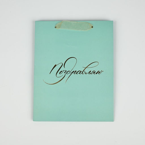 Цена за 2 шт. Пакет ламинированный «Поздравляю», MS 18×23×10 см