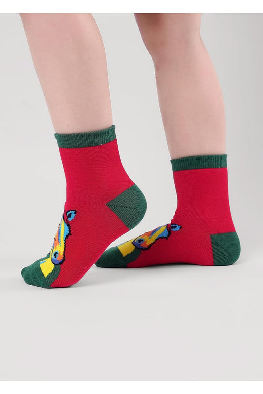 (CLE) C4554 носки дет. НГ (ЧЗ)