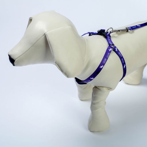 Комплект Мур! Мур!, шлейка 24-34х1 см, поводок 120 см - Пушистое счастье фото 4