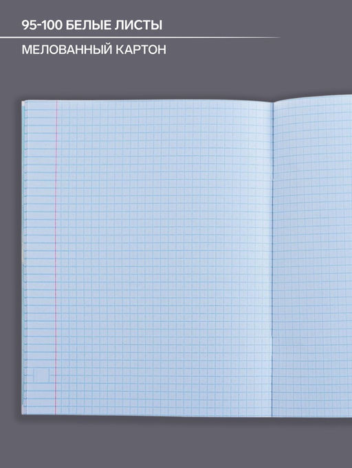 Цена за 4 шт. Тетрадь предметная Коллаж, 48 листов в клетку Алгебра со справочным материалом, обложка мелованный картон, блок офсет - Calligrata фото 4