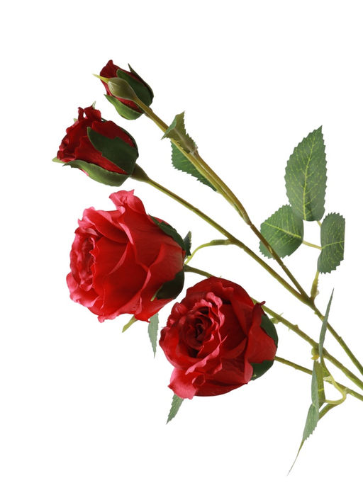 Цветы искусственные "Роза Августина галант" d-6 см 55 см, красный