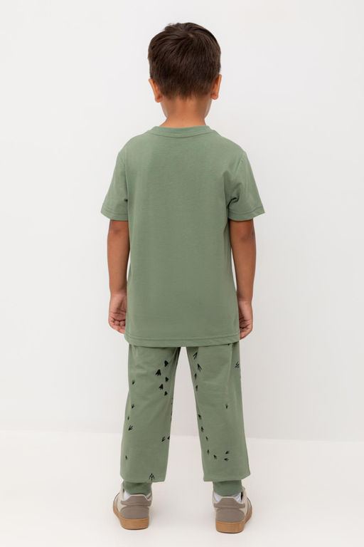 КР 400795/папоротник,следы динозавра к540 брюки для мал