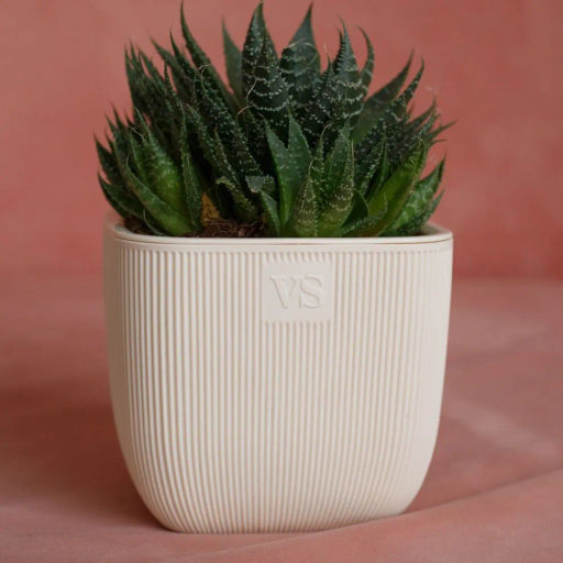 Горшок для цветов с дренажной системой Фабио VipSet 1,95 л белый (AMF-1,95-01) - Крассула фото 2