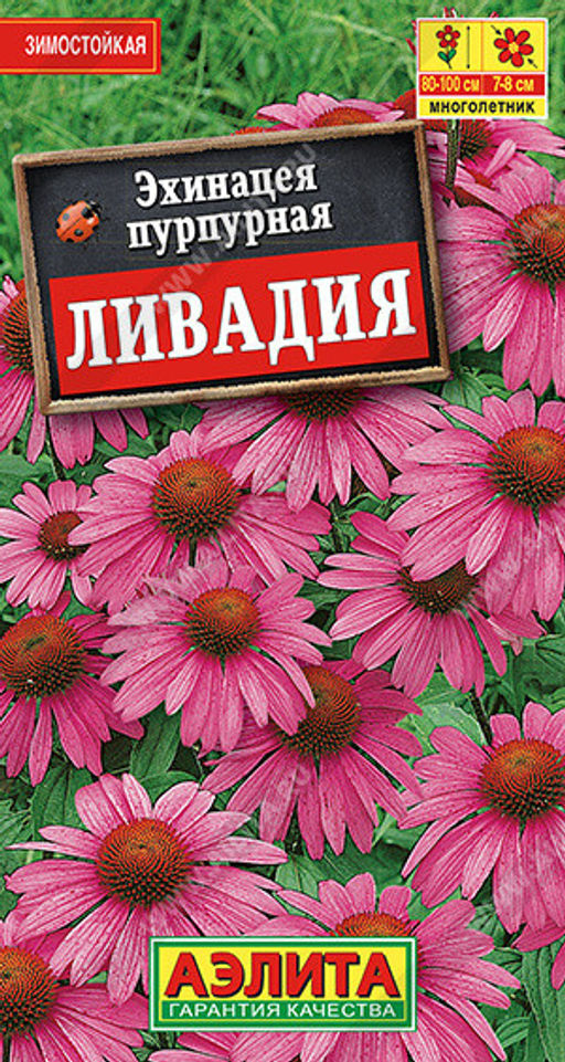 1967A Эхинацея пурпурная Ливадия 0,3гр