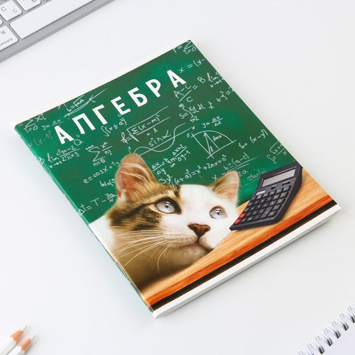 Предметная тетрадь, 48 листов, МИЛЫЕ ПИТОМЦЫ, со справочными материалами Алгебра, обложка мелованный картон 230 гр., внутренний блок в клетку 80 гр., белизна 96%,блок №1. - Artfox study фото 2