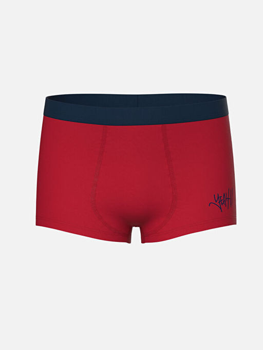 Bask?l? Erkek ?ocuk Boxer 3l? - Waikiki фото 3