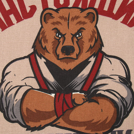 Полотенце кух. Доляна Настоящий защитник 35х60 см, рогожка, 100% хл, 160г/м2  фото 4