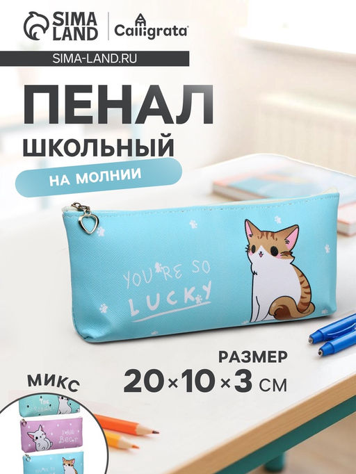 Пенал школьный на молнии Calligrata Котик, 1 отделение, плоский, МИКС