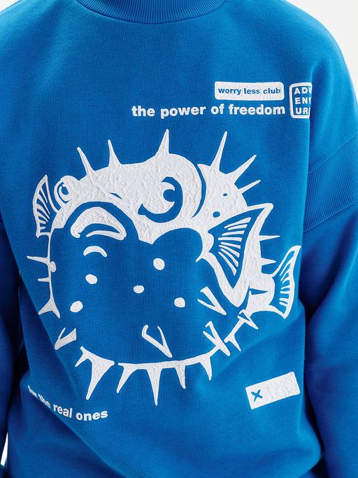 BFN3389/2 Толстовка для мальчиков