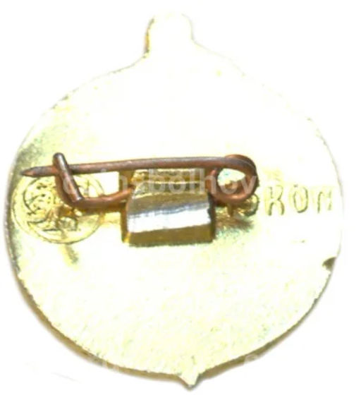 Значок Владимир