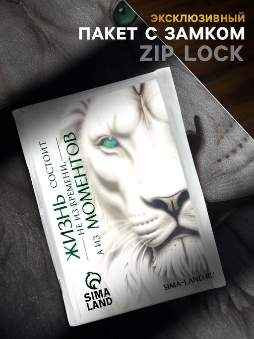 Пакет подарочный С Новым годом, с ёлочной игрушкой и шильдиком, Дед Мороз, 25.5?30?9 см