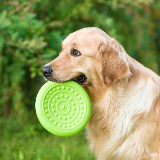 Фрисби НЛО , 18,6 см, жесткая термопластичная резина, зелёный - Пижон фото 8