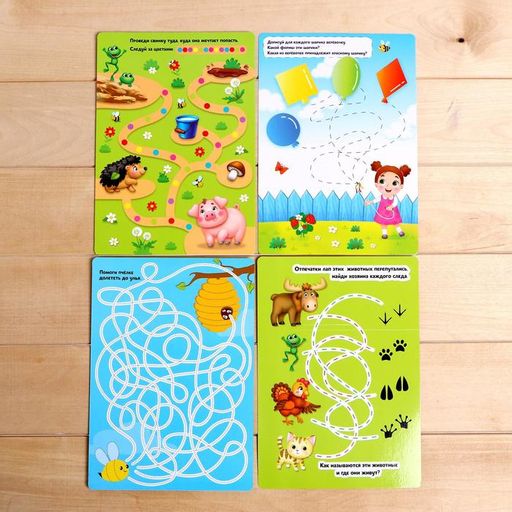 Набор пиши-стирай Лабиринты - Iq-zabiaka фото 5