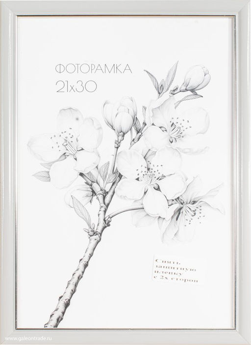 Фоторамка 21x30 с акриловым стеклом / 1503B-012Al2 /уп10 ф - ГалеонТрейд фото 3