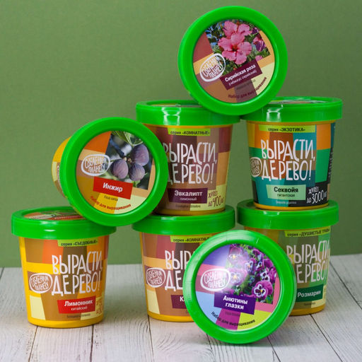 Набор для выращивания "Киви зимостойкое"