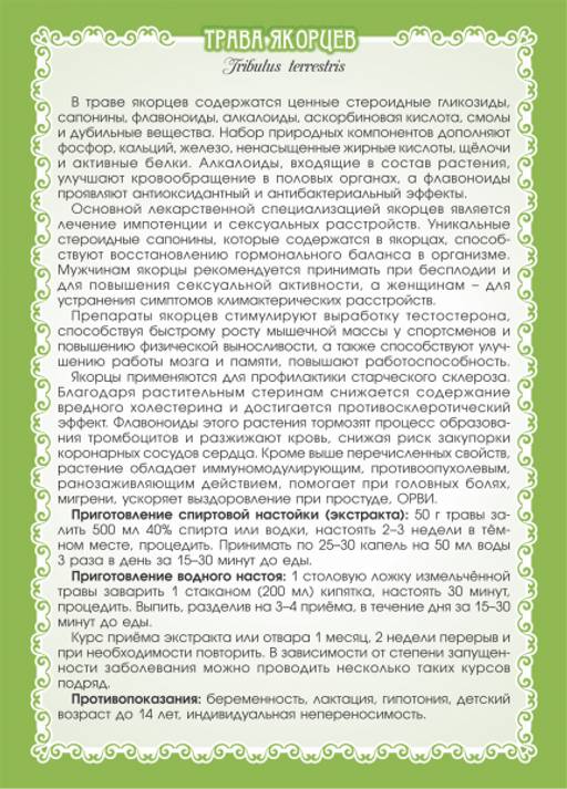 Якорцы стелющиеся (трава) - Мариславна фото 6