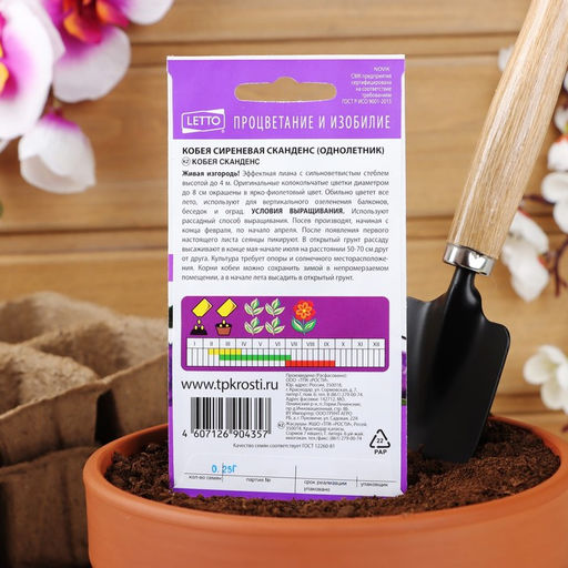 Цена за 2 шт. Семена цветов Кобея "Сканденс", 4 шт