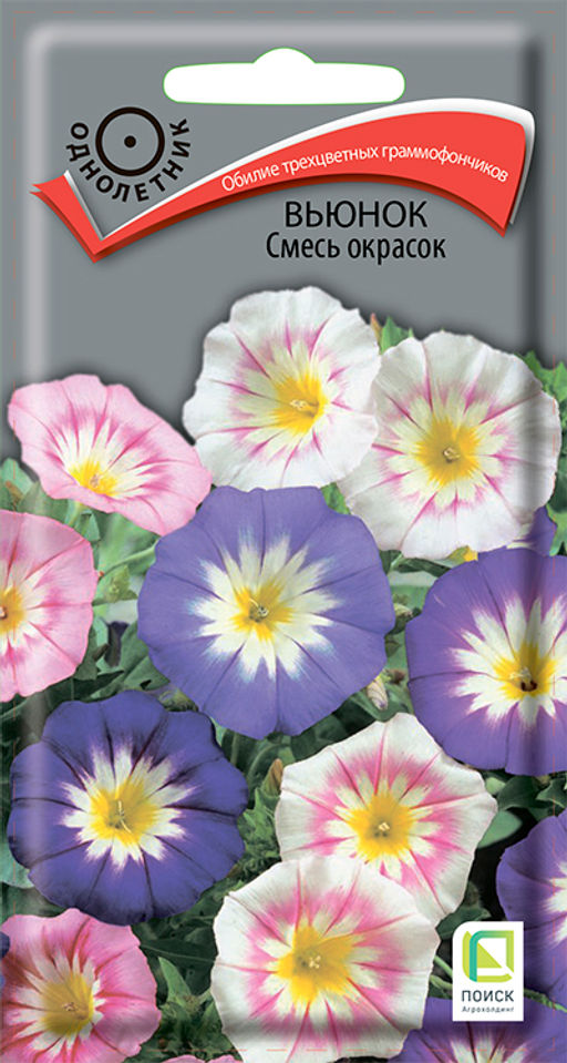 Вьюнок Смесь окрасок (ЦВ) (1) 1гр. - Поиск фото 2