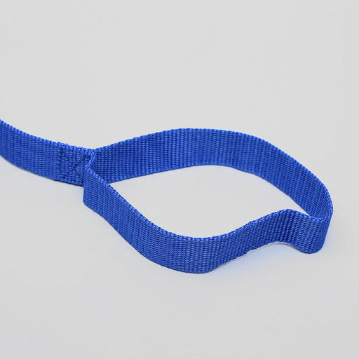 Поводок 5 м х 2,5 см, синий - Пижон фото 3