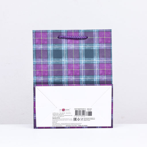 Пакет подарочный Клетка, 18 х 22,3 х 10 см - Simaland фото 2