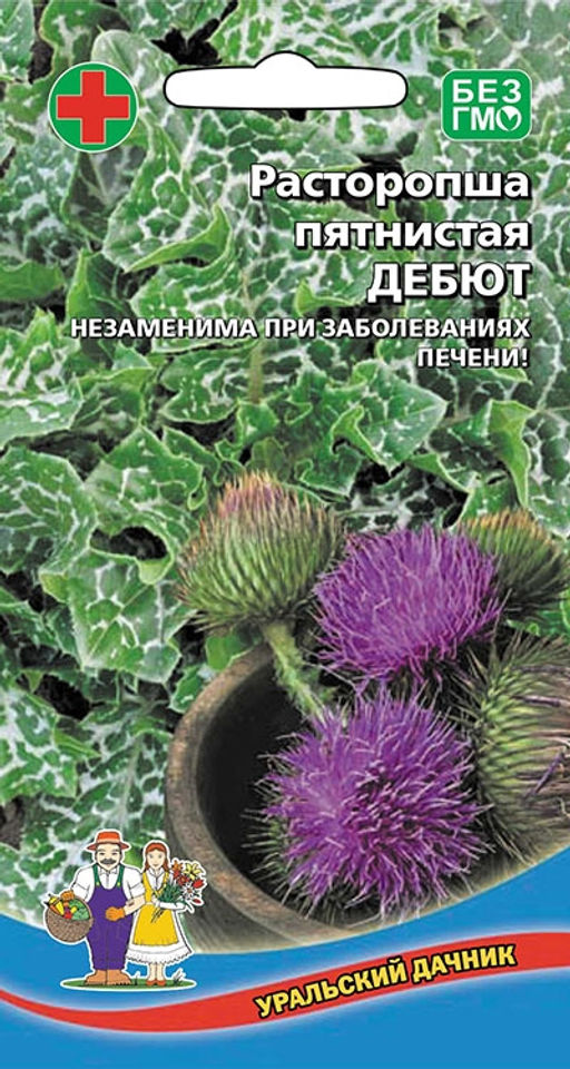 Расторопша ДЕБЮТ Незаменим для печени, используют как овощ, листья и черешки замечательно идут в салат!