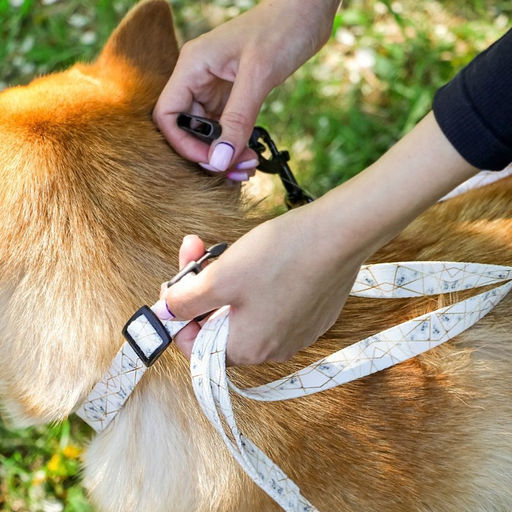 Набор Мрамор, застёжка - фастекс, поводок 2 м и ошейник 28-46 см - Пушистое счастье фото 12