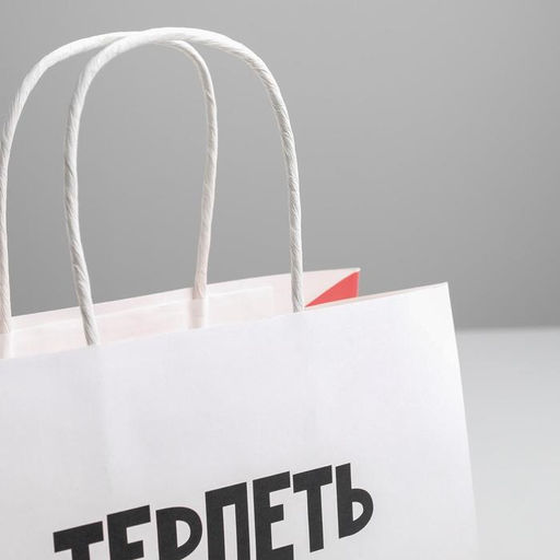 Пакет подарочный Терпеть тебя не могу, 22 х 22 х 11 см - Дарите счастье фото 3