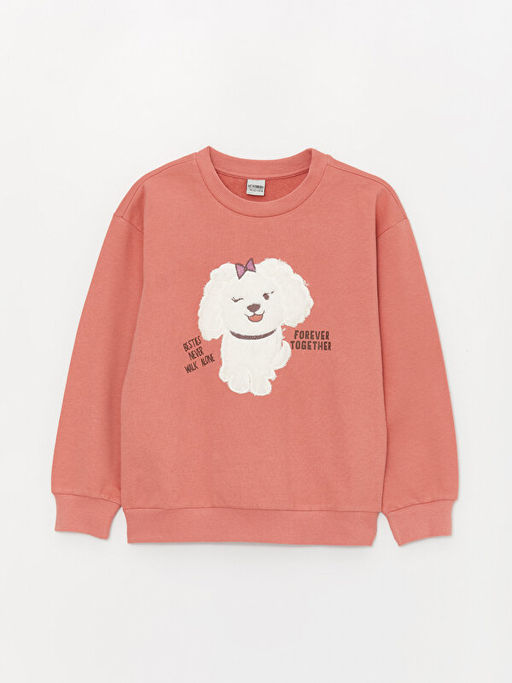 Bisiklet Yaka Nak??l? Uzun Kollu K?z ?ocuk Sweatshirt - Waikiki фото 3