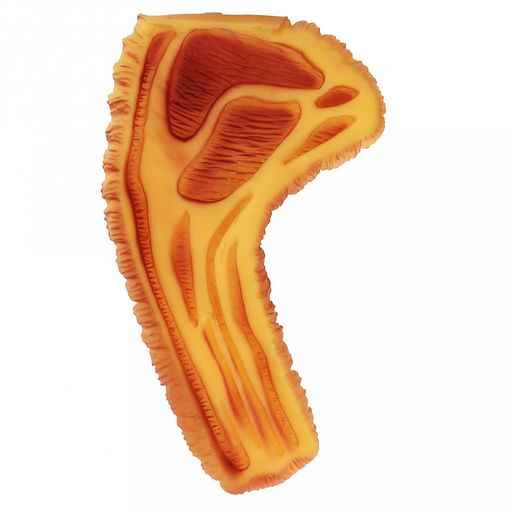 Игрушка для собаки Стейк 20х11,5х2,5см, с пищалкой, ПВХ, фактурная, желтый, Пэт тойс (Pet toys) (Китай)  фото 3