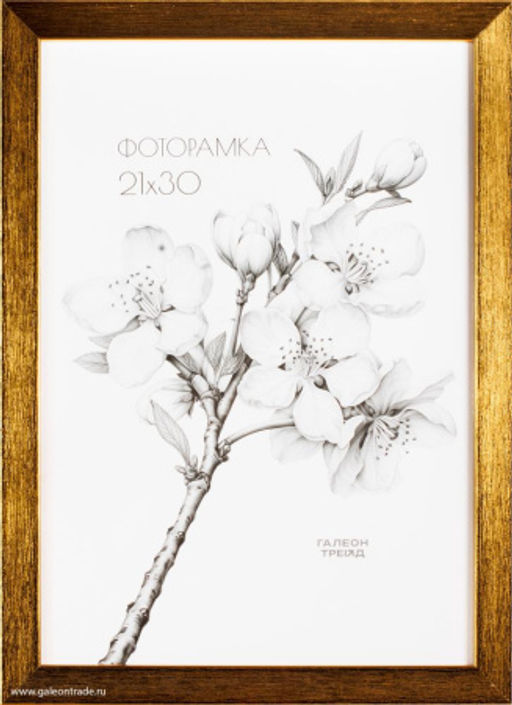 Фоторамка 21х30 /2004C-004C/