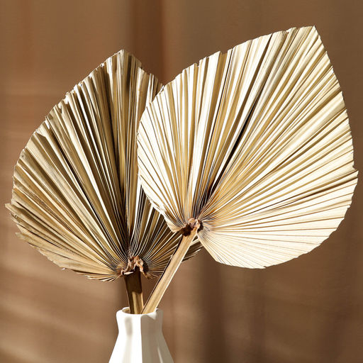 Сухие цветы «Лист пальмовый», 50×25×2 см