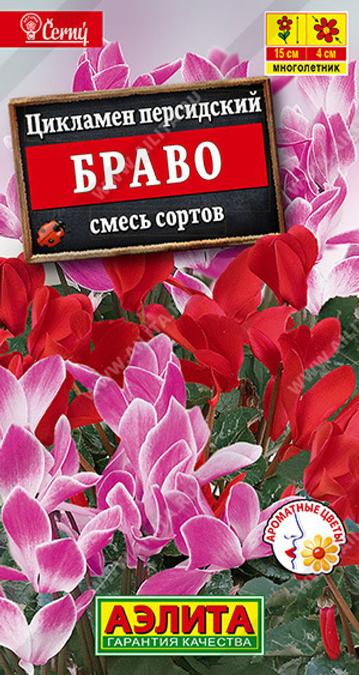 Цикламен персидский Браво, смесь сортов