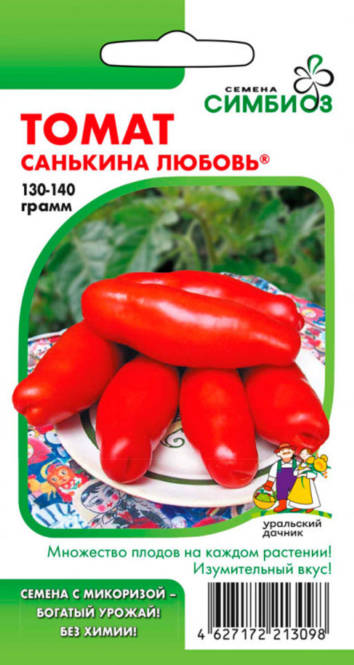 Томат САНЬКИНА ЛЮБОВЬ  Микоризированные семена! Множество плодов на каждом растении! Изумительный вкус! - Уральский дачник фото 3