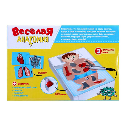 Настольная игра «Весёлая анатомия», работает от батареек, от 1 игрока, 5+