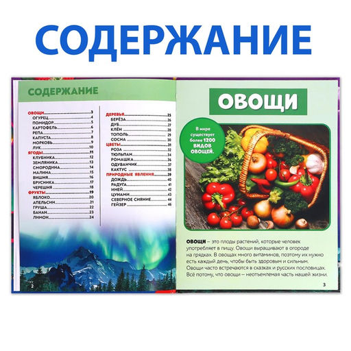Фотоэнциклопедия для детей Мир вокруг нас, 48 стр. - Буква-ленд фото 3