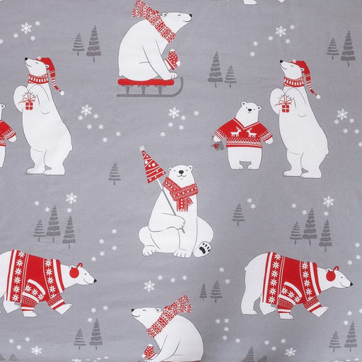 Постельное бельё евро Этель. Зимние игры, поплин