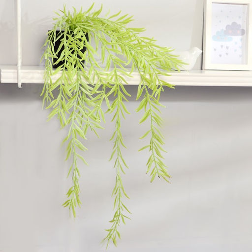 Бонсай «Ива пурпурная», растение 50 см (горшок h-8, d=8.5 см), МИКС