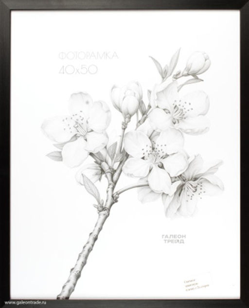 Фоторамка 40х50 / ZR208B-22 /с акрил. стеклом/уп10 ф