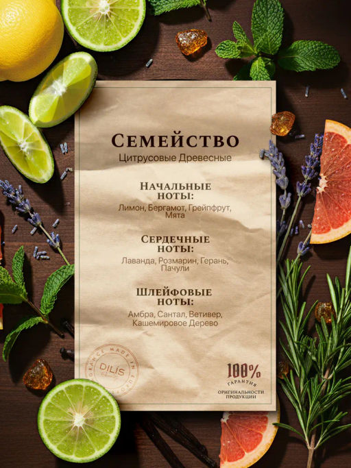 Dilis Парфюмерная вода для мужчин GROWLAND Mystic Stone 100 мл