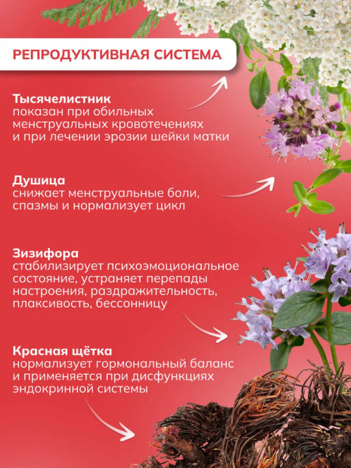 Драже из трав Для женщин с ягодой годжи, прополисом и дигидрокверцетином Алфит 6934  фото 9