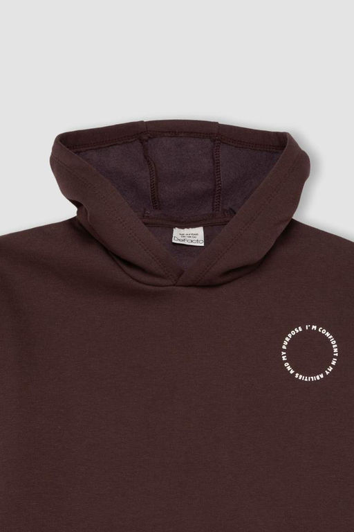 Толстовка оверсайз с капюшоном для мальчика - Defacto фото 2