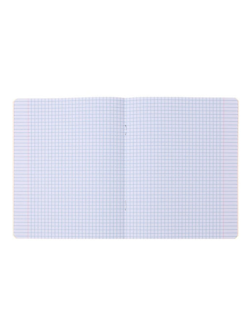 Комплект тетрадей из 10 штук, 24 листа в клетку Calligrata «Школьная», обложка мелованный картон, ВД-лак, блок офсет, 5 видов по 2 штуки