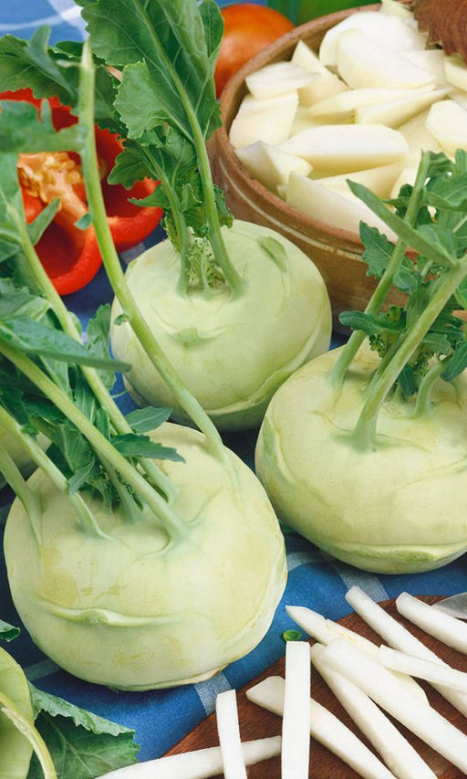 Капуста кольраби КАРТАГО F1 Нежный вкус, с высоким содержанием сахаров! Стабильная урожайность! Устойчива к растрескиванию и одревеснению! - Уральский дачник фото 2