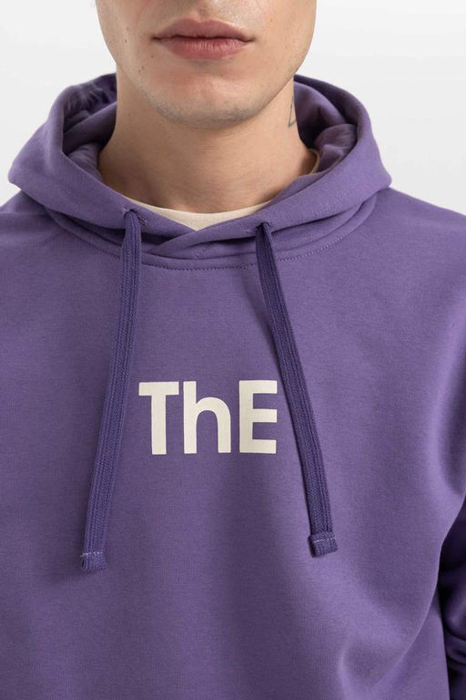 Толстовка обычного кроя с капюшоном и принтом - Defacto фото 5