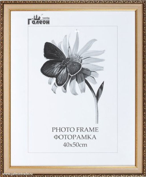 Фоторамка 40х50 / 10036-17 /
